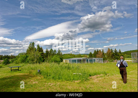 Falconry in Harz,Güntersberge,Saxony Anhalt,Germany. Stock Photo