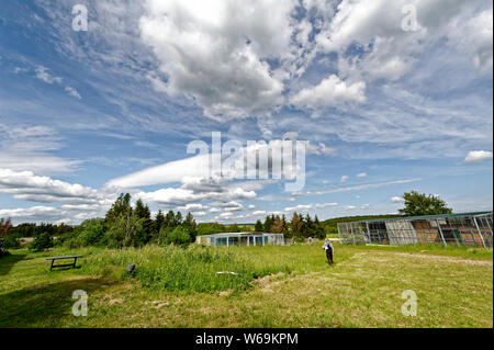 Falconry in Harz,Güntersberge,Saxony Anhalt,Germany. Stock Photo