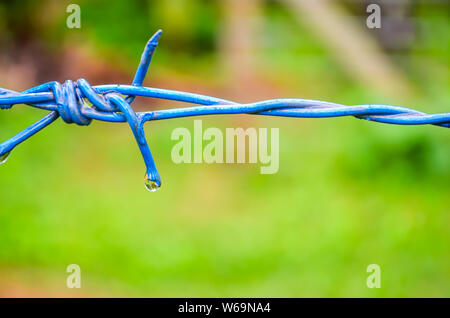 Clear Water drop on a wet blue barbed wire with green blurred background Stock Photo