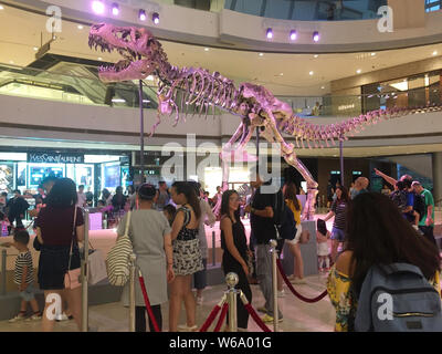 A real fossilized skeleton of a Tyrannosaurus Rex is on display during the Meet The T-Rex at the IFC mall in Hong Kong, China, 18 June 2018.   IFC mal Stock Photo