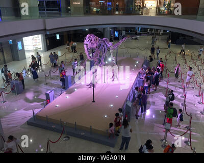 A real fossilized skeleton of a Tyrannosaurus Rex is on display during the Meet The T-Rex at the IFC mall in Hong Kong, China, 18 June 2018.   IFC mal Stock Photo