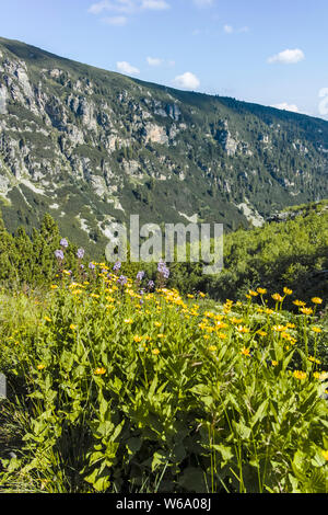 Landscape of Malyoviska river Valley, Rila Mountain, Bulgaria Stock ...