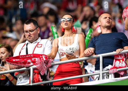 A hot female Polish fan wearing a red and white jersey watches the Group H match between Poland and Senegal during the 2018 FIFA World Cup in Moscow, Stock Photo