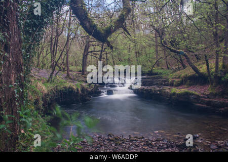 SOUTH WALES ANIMALS ANDF LANDSCAPES Stock Photo