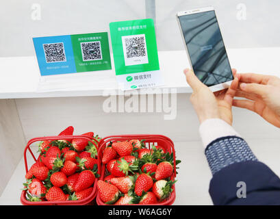 --FILE--A customer uses her smartphone to scan the QR code of WeChat Payment of the messaging app Weixin, or WeChat, of Tencent to pay for strawberrie Stock Photo