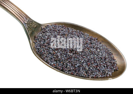 In the old golden spoon there is a small pile of food - poppy seeds for baking Easter cakes. Isolated on white studio macro Stock Photo
