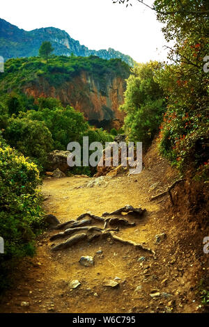Sunset over a mountain landscape in Morocco. In the picture - a path in a dense forest in the mountains, the path leading up. Stock Photo