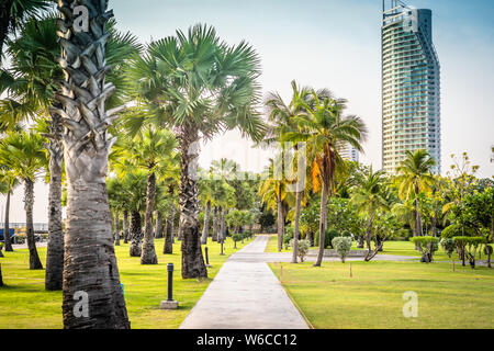 Pattaya, Thailand - May 28, 2019: Wide road with tall palm trees and modern buildings in Pattaya, Thailand. Buildings and trees on a sunny day Stock Photo