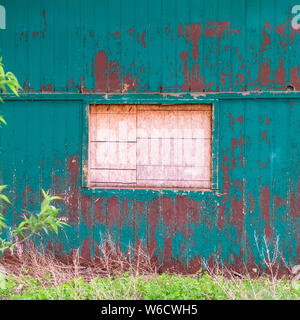 Square frame Exterior of shed in the forest with white window and peeling green paint on wall Stock Photo