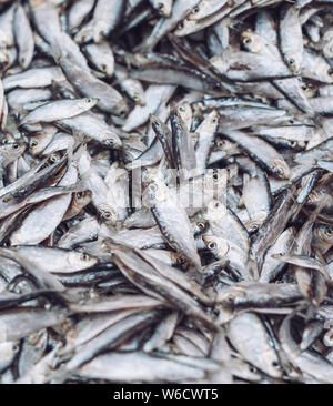 Fish sprats at the fish market. Fresh organic fish. Stock Photo