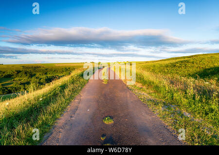 A country lane running across Eggardon Hill near bridport in the Dorset countryside Stock Photo