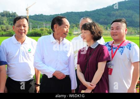Chinese agricultural scientist and educator Yuan Longping, second left, known for developing the first hybrid rice varieties in the 1970s, is intervie