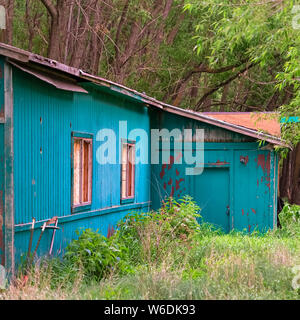 Square Exterior view of an old shed in the forest surrounded by grasses and tall trees Stock Photo