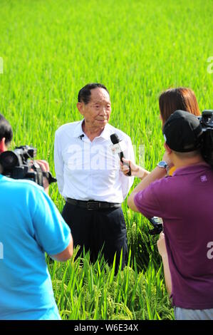 Chinese agricultural scientist and educator Yuan Longping, left, known for developing the first hybrid rice varieties in the 1970s, is interviewed by