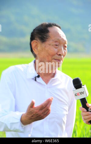 Chinese agricultural scientist and educator Yuan Longping, known for developing the first hybrid rice varieties in the 1970s, is interviewed by a jour