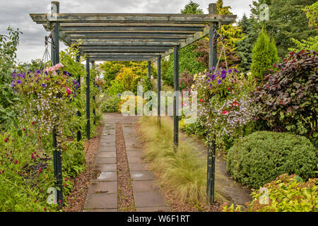 INVERNESS SCOTLAND THE BOTANIC GARDENS PERGOLA WITH HANGING BASKETS OF COLOURFUL FLOWERS AND GRASSES AT THE BASE Stock Photo