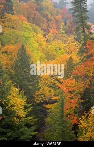 Lifting of light morning fog reveals vivid autumn colors among the Escanaba River State Forest in Michigan’s Upper Peninsula. Stock Photo