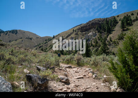 Hiker makes her way up to Goldbug Hot Springs in Idaho, in the Salmon Challis National Forest Stock Photo