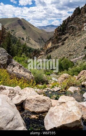 Portrait orientation view of Goldbug Hot Springs in Idaho, in the Salmon-Challis National Forest on a summer day Stock Photo