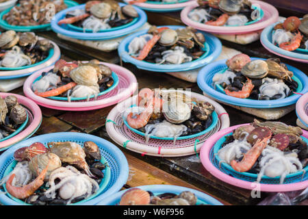 Busan, Korea, 12/22/2018 , fish displayed on a local market in the old part of Busan city in Korea. A mix of shells are already portioned on separate Stock Photo