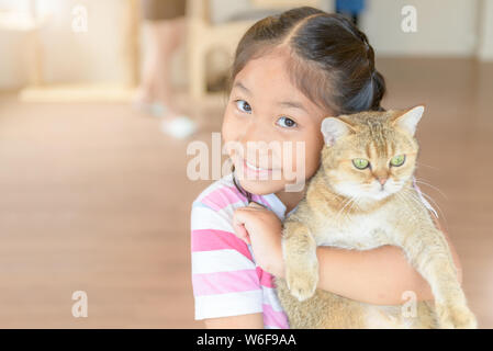 Cute asian girl hug and play scottish fold cat at home, Pet animal concept Stock Photo