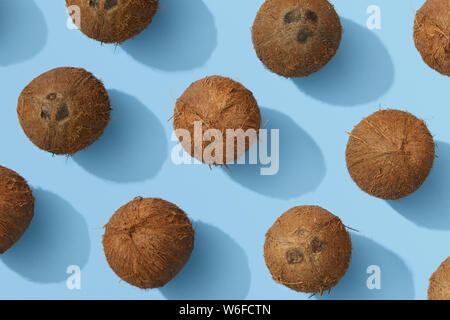 Whole coconuts on blue background, colourful coconut flat lay Stock Photo