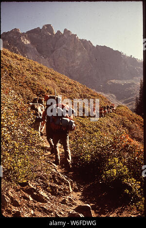 Back - Packing Expedition Of Explorer Post 397 Of Los Angeles Area Stock Photo