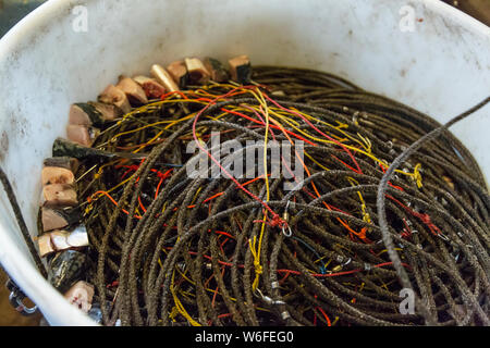 Bucket of fishing cord baited with pieces of mackerel