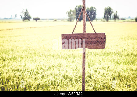 Wooden sign on green rice field environment background abstraction vacation travel Stock Photo