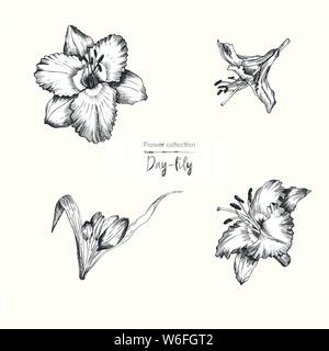 30 Sexy and Beautiful Orchid Tattoo Designs