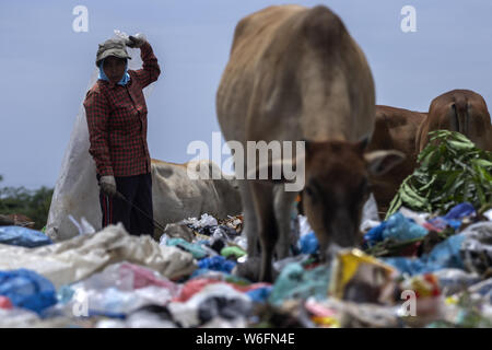 Lhokseumawe, Aceh, Indonesia. 1st Aug, 2019. A scavenger picks up used plastic at landfill sites in Lhokseumawe, Aceh, Indonesia. Data from the Worldwide Fund for Nature (WWF), about 300 million tons of plastic are produced each year, most of which end up in landfills and the sea, polluting the sea. In fact, this has become an international crisis that continues to grow today. Credit: Zikri Maulana/SOPA Images/ZUMA Wire/Alamy Live News Stock Photo