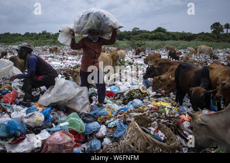 Lhokseumawe, Aceh, Indonesia. 1st Aug, 2019. A scavenger carries used plastic collected from a garbage at landfill site in Lhokseumawe, Aceh, Indonesia. Data from the Worldwide Fund for Nature (WWF), about 300 million tons of plastic are produced each year, most of which end up in landfills and the sea, polluting the sea. In fact, this has become an international crisis that continues to grow today. Credit: Zikri Maulana/SOPA Images/ZUMA Wire/Alamy Live News Stock Photo