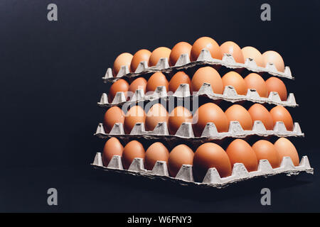 brown eggs Paper trays containers paper. many Stock Photo