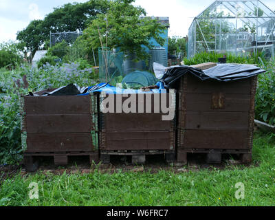 Three wooden compost bins on the allotment in summer covered with plastic sheets to keep the compost warm and to speed up the composting process. Stock Photo