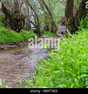 Square frame Old green shed and chain link fence along a narrow curving stream in the forest Stock Photo