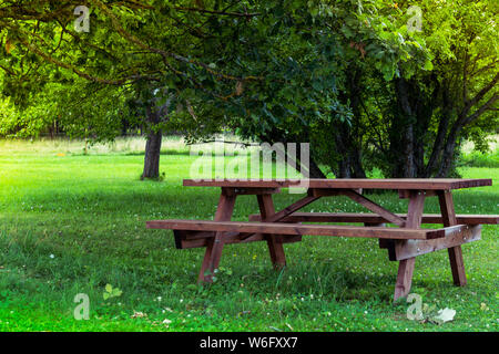 Wooden bench and table on a meadow in the garden on the old Alpaca Farm. Summer leisure time in the nature. Tranquil nature day scene. Stock Photo