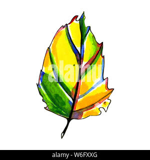 Watercolor stylized graphic autumn leaf. Hand painted with pastel yellow, orange and green colors. Blue, red and black ink contour. Isolated object on Stock Photo