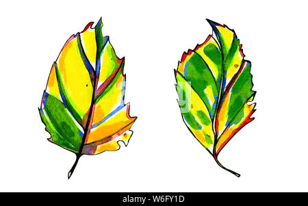 Two watercolor stylized graphic autumn leaves. Hand painted pastel yellow, orange and green colors. Blue, red and black ink contour. Isolated object o Stock Photo