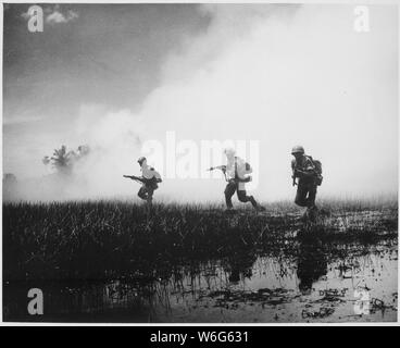 Crack troops of the Vietnamese Army in combat operations against the Communist Viet Cong guerrillas. Marshy terrain of the delta country makes their job of rooting out terrorists hazardous and extremely difficult., 1961; General notes:  Use War and Conflict Number 403 when ordering a reproduction or requesting information about this image. Stock Photo