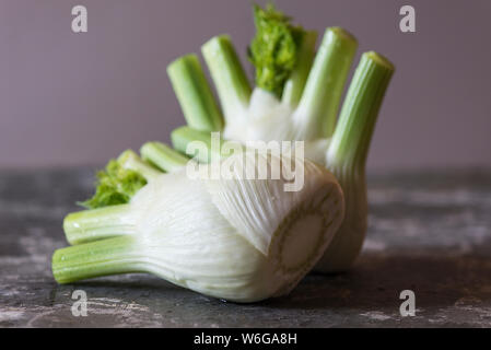 Fresh bulbs of Florence fennel on slate table top Stock Photo