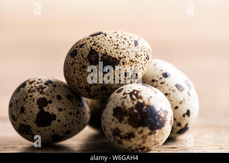 Whole quail eggs in close up Stock Photo