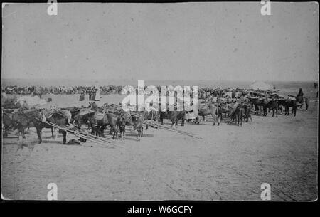 Drawing rations at the Agency [American Indian], ca. 1881 - ca. 1885 ...