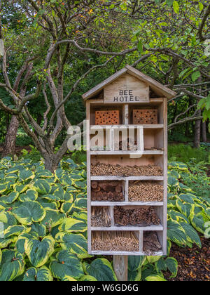 A wood “bee hotel” with tubes and natural materials to shelter bees and other pollinators in a garden with green and yellow hostas and small trees Stock Photo