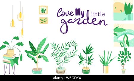 Collection of decorative houseplants isolated on white background. Bundle of trendy plants growing in pots or planters. Set of beautiful natural home Stock Vector