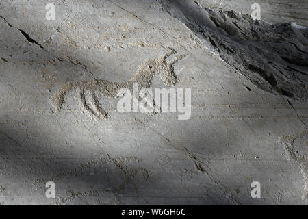 Ancient rock engraving in Camonica Valley, Naquane National Park, UNESCO World Heritage Site, Italy. Stock Photo