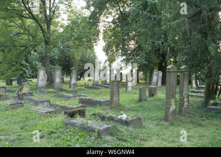 Former Mennonite village of Heubuden graveyard built since 1768 in Stogi Malborskie, Poland. July 20th 2019, is the oldest and one of the biggest Menn Stock Photo