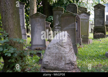 Former Mennonite village of Heubuden graveyard built since 1768 in Stogi Malborskie, Poland. July 20th 2019, is the oldest and one of the biggest Menn Stock Photo