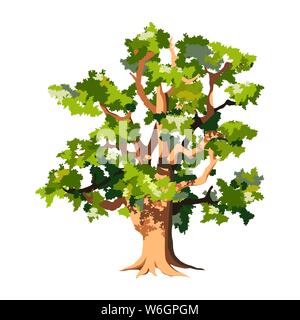Old big oak tree isolated on white background. Lush foliage, curved branches, cartoon vector illustration. Stock Vector