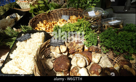 Mushrooms Borough Market London UK Stock Photo