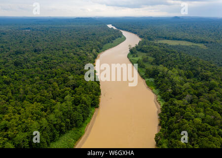 Aerial drone view of a long winding river through a tropical rain forest Stock Photo